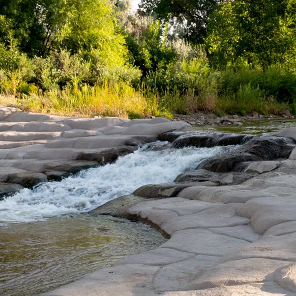 Rocky mountain stream flowing through a lush riparian landscape with trees and natural vegetation